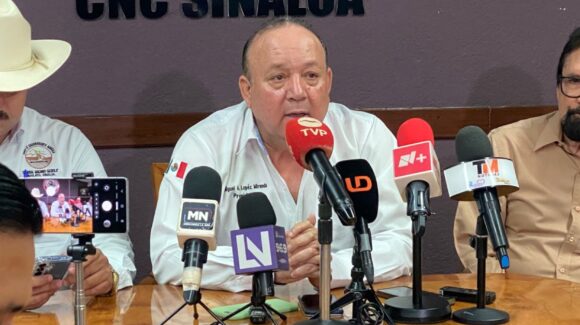 “El Gobierno no se pone las pilas, ni asume el compromiso”; CNC urge aplicar apoyos para comercialización de granos   