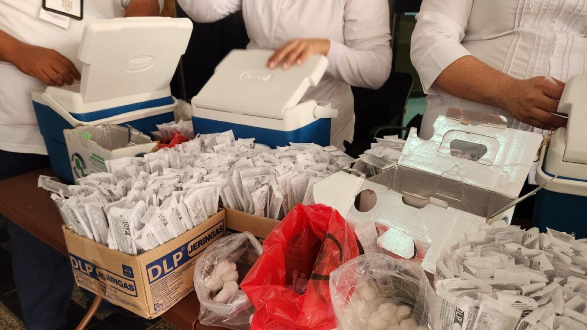 modulo de vacunacion contra el sarampion en culiacan vacunas