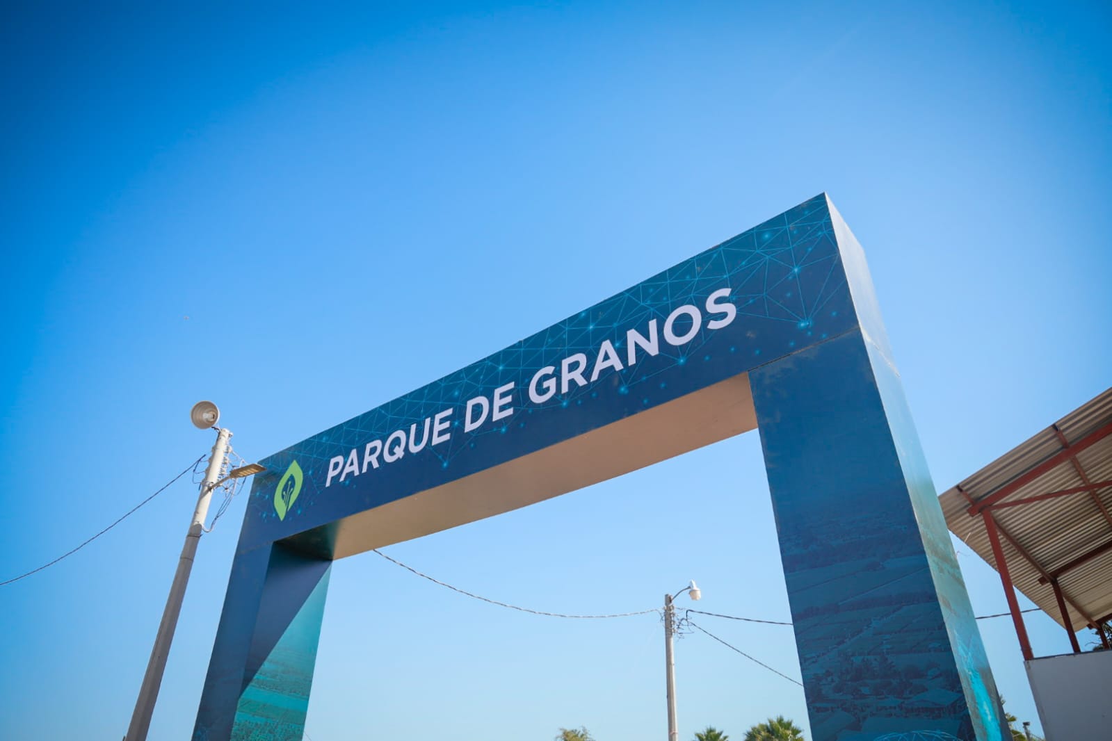Parque de granos en la Expo Agro Sinaloa 2026