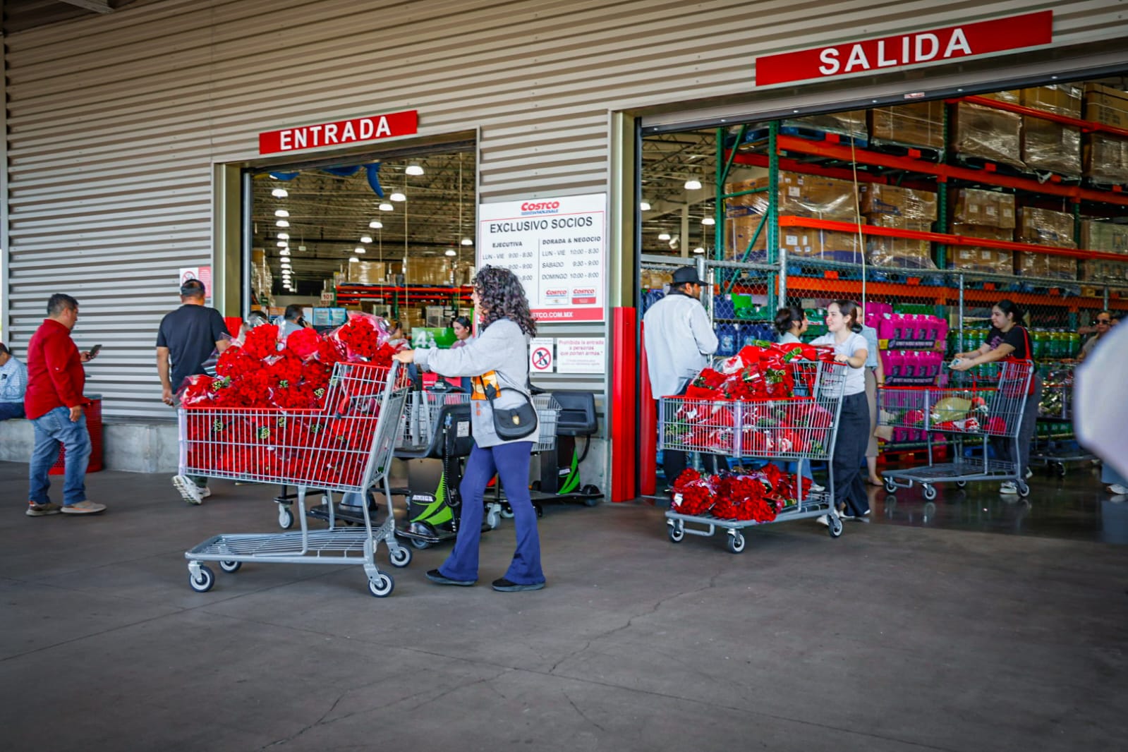 Largas filas para entrar a Costco en Culiacán, a comprar flores para el Dia de San Valentín