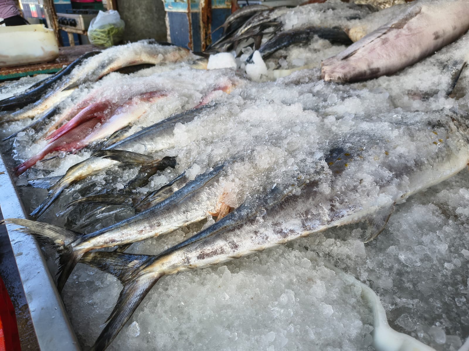 Pescado