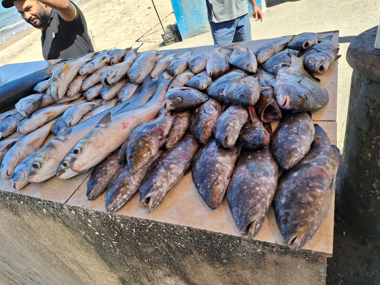 Pescado