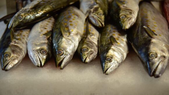 Publican lista oficial de precios para pescados y mariscos al iniciar la Cuaresma 2026 en Ahome, Sinaloa