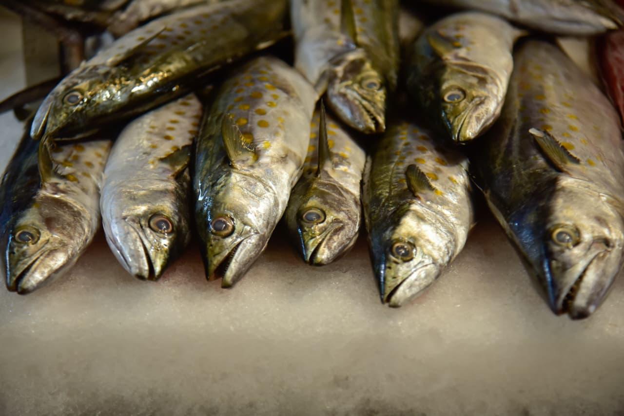 Pescado