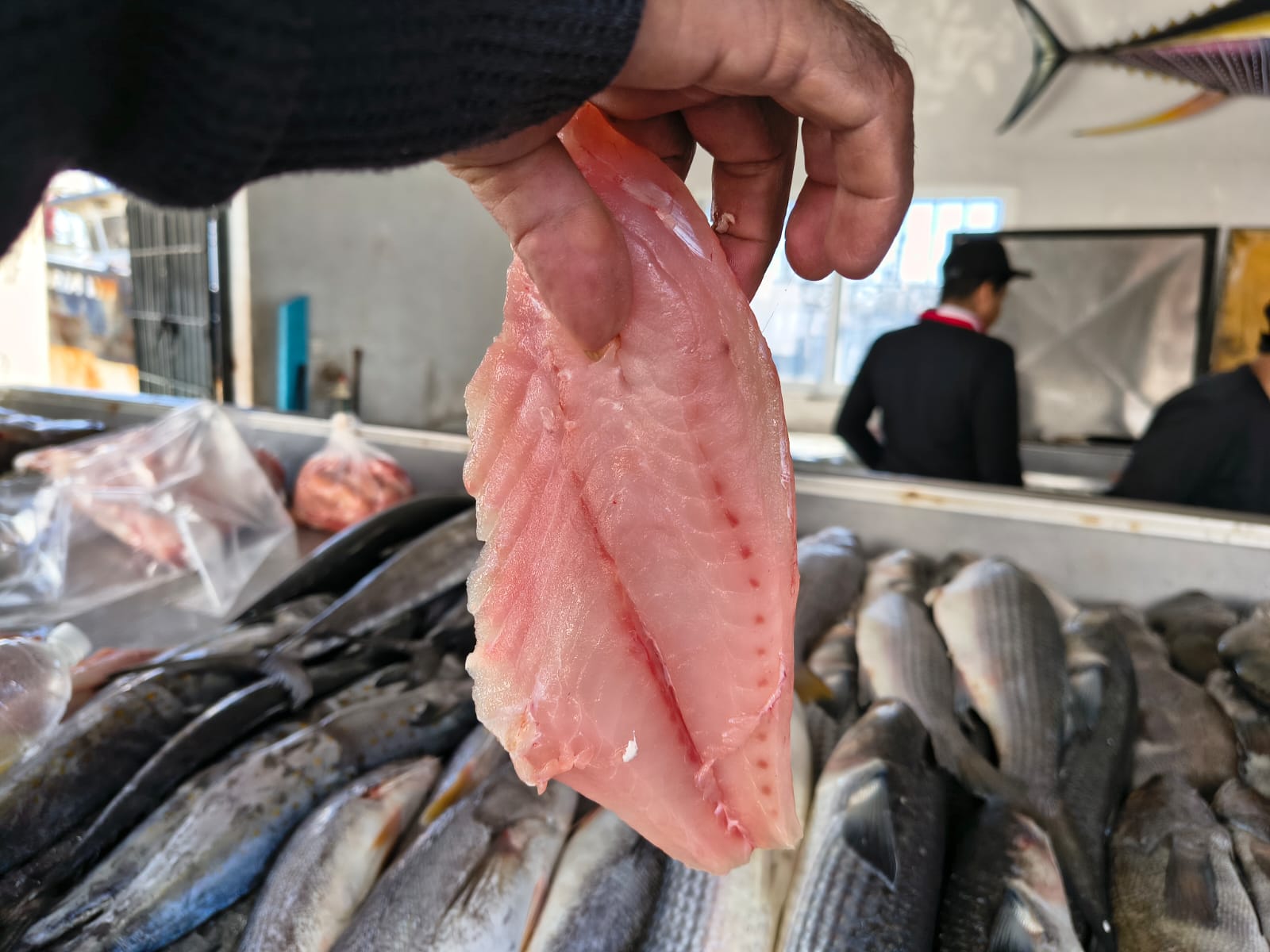 Pescado