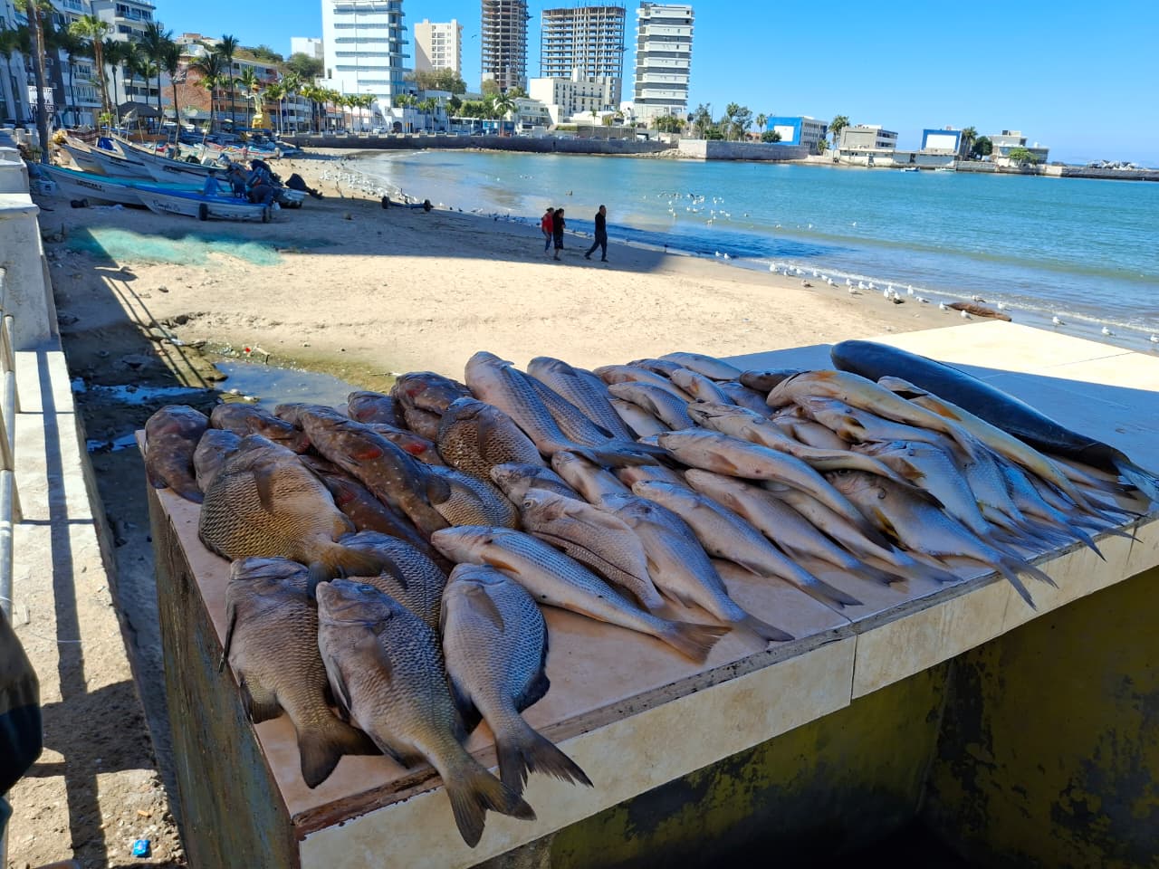 Pescado