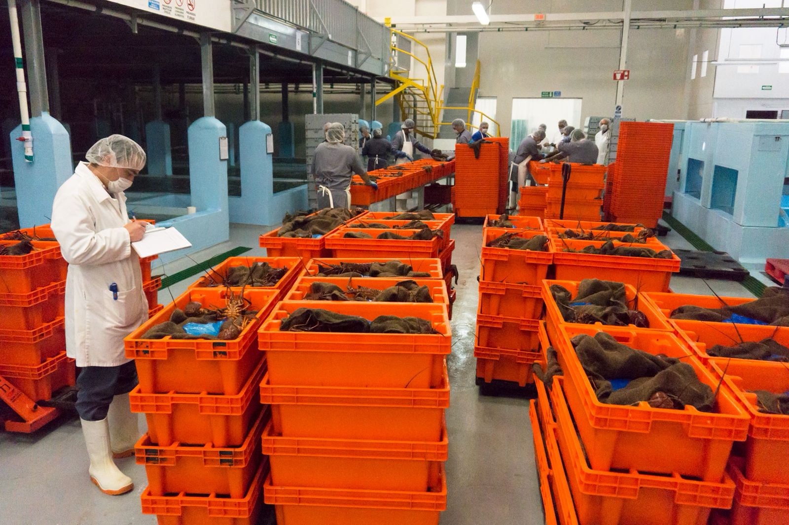 pescadores