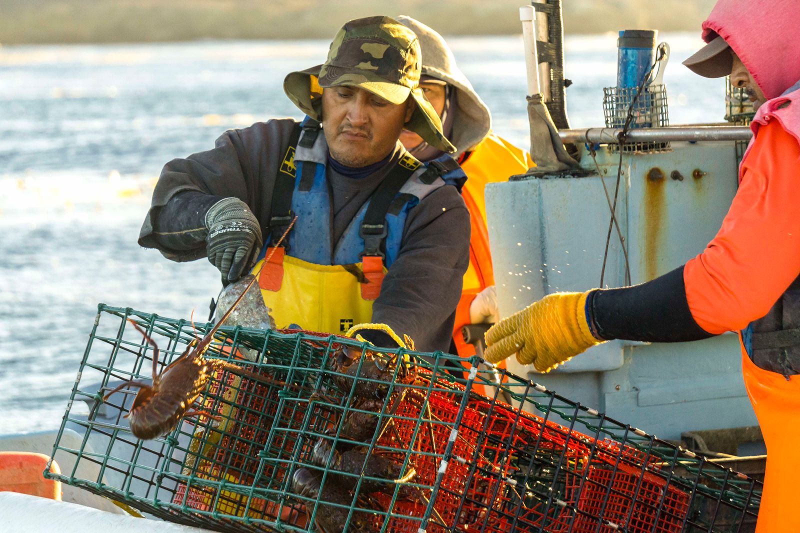 pescadores