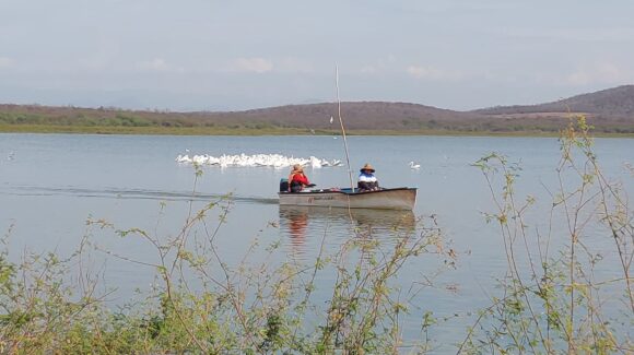 Pescadores de la presa Eustaquio Buelna, en Salvador Alvarado, Sinaloa, piden autorización para trabajar en Cuaresma