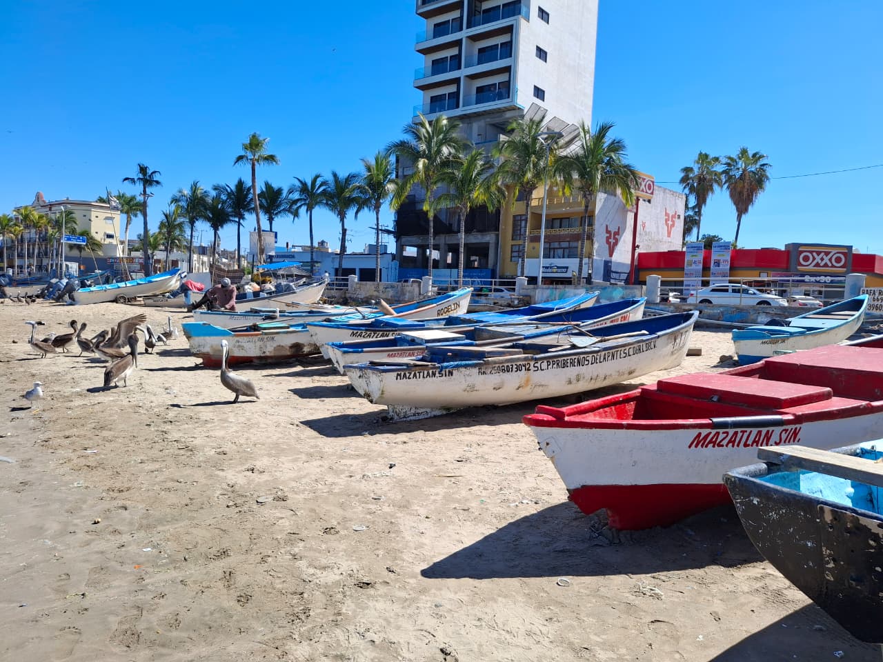 Pescadores de Mazatlán, Sinaloa