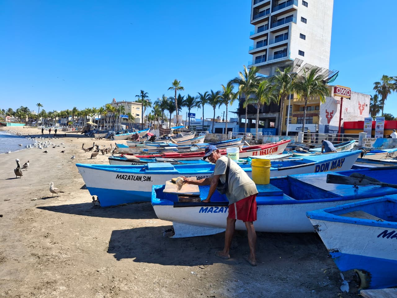 Pescadores de Mazatlán, Sinaloa