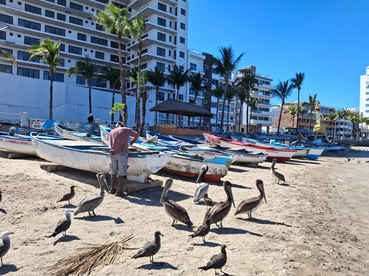 Pescadores de Mazatlán, Sinaloa