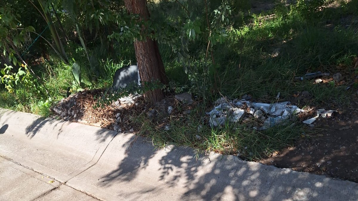 piden limpiar parque en fraccionamiento conquistadores en los mochis sinaloa