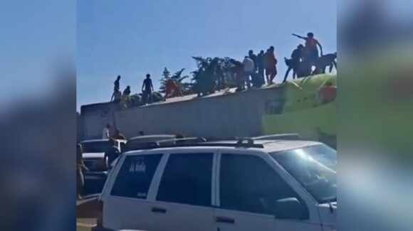 Rapiña tras volcadura de tráiler en la carretera de cuota Tepic-Mazatlán, Sinaloa