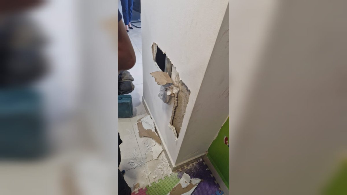 rescatan con vida a mapache bebe en mazatlan sin