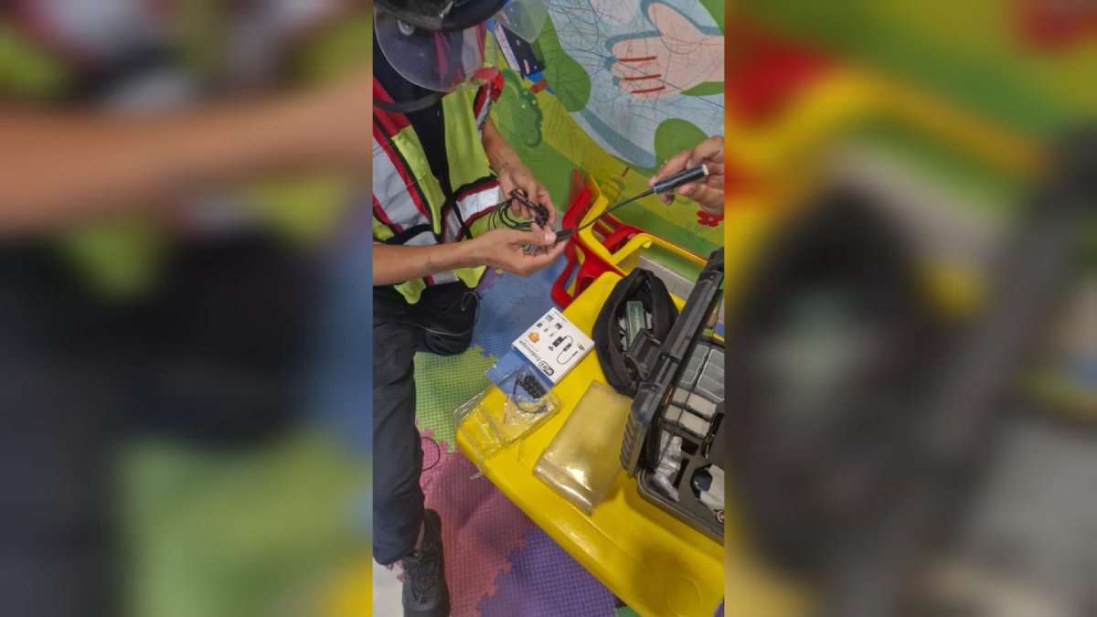rescatan con vida a mapache bebe en mazatlan sinaloa