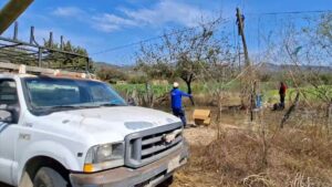 restablecen señal en el verde concordia sinaloa