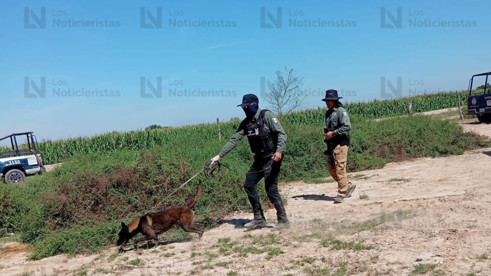 Localizan restos óseos en la Cofradía de La Loma en Navolato