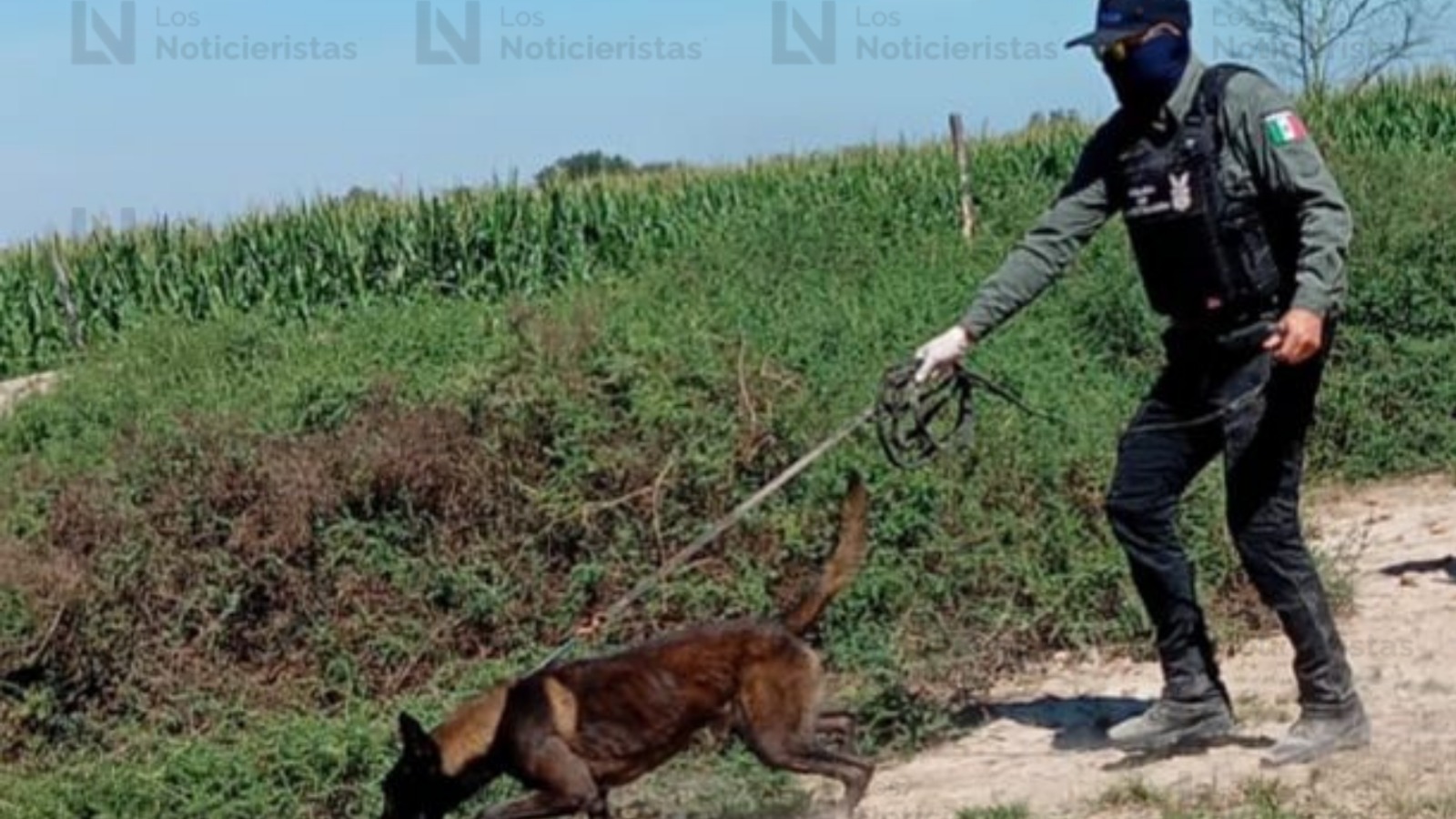 Localizan restos óseos en la Cofradía de La Loma en Navolato