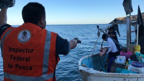 Retiene Marina y Conapesca embarcación con producto pesquero ilegal en los alrededores de las Islas Marías