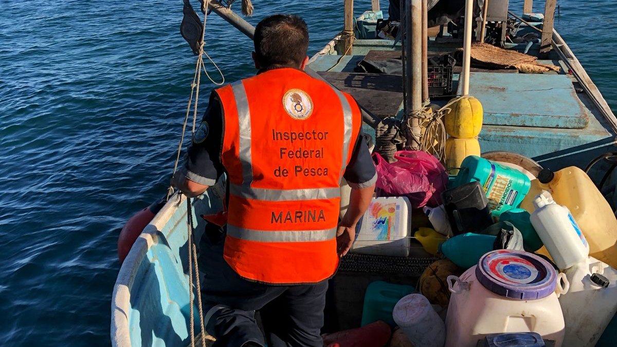 retiene marina y conapesca embarcacion con producto pesquero ilegal en las islas marias inspeccion