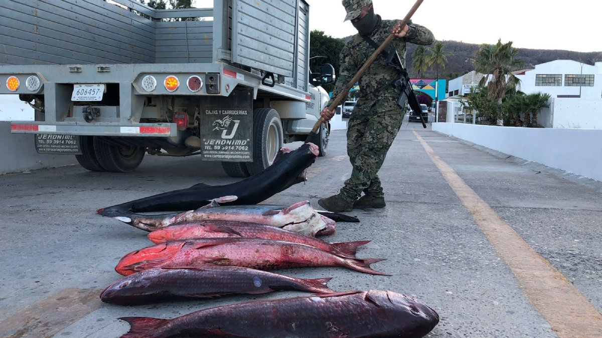 retiene marina y conapesca embarcacion con producto pesquero ilegal en las islas marias mazatlan