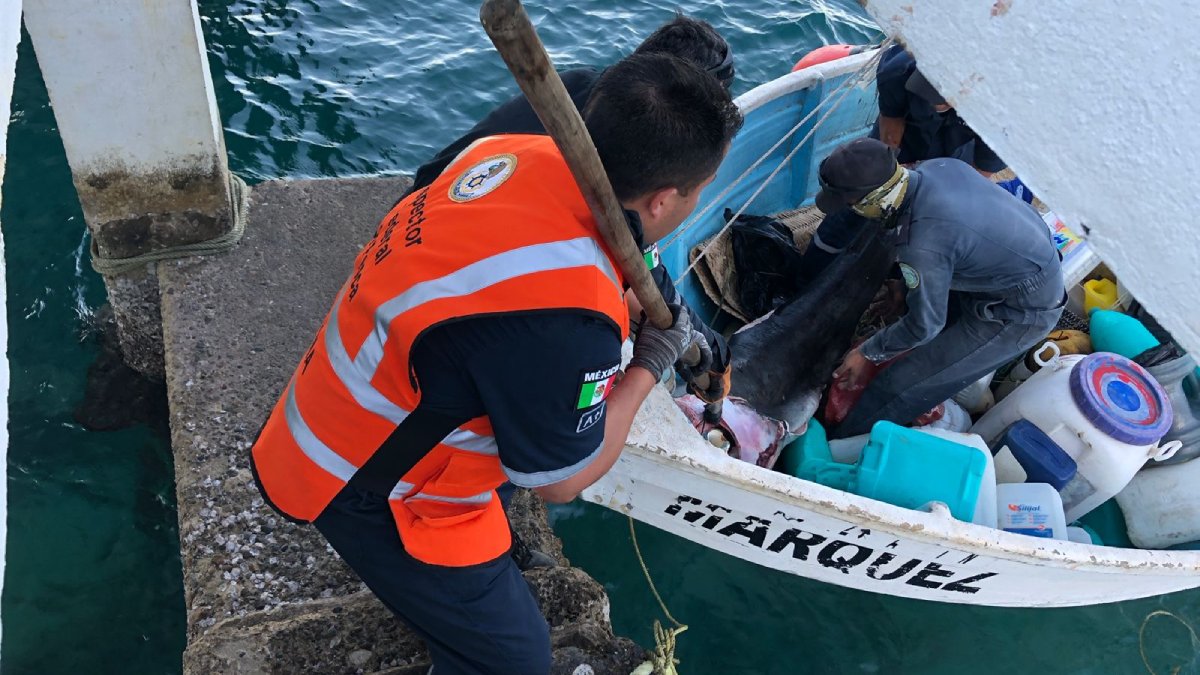 retiene marina y conapesca embarcacion con producto pesquero ilegal en las islas marias operativo