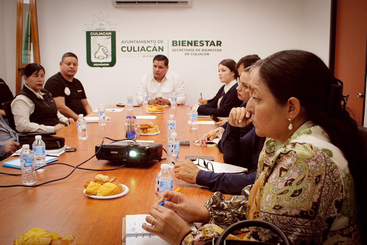 Refuerzan estrategia para la erradicación de la plaga de mosquito en Culiacán