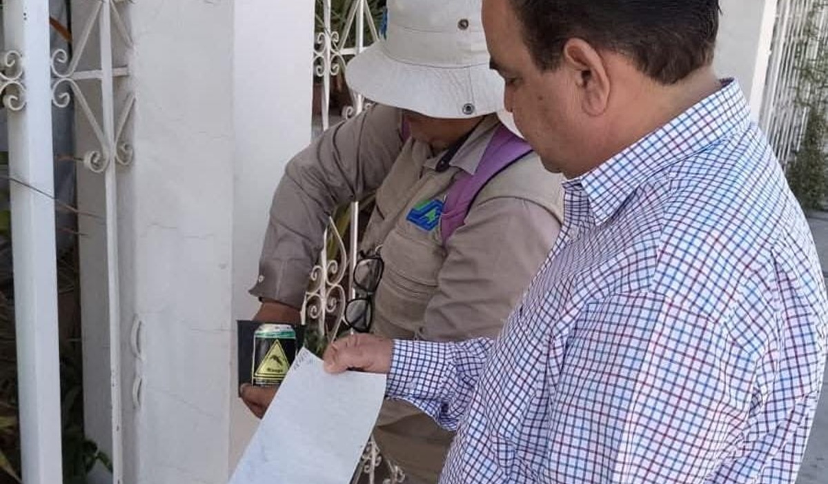 Revisan ovitrampas instalados en Salvador Alvarado contra el mosco del dengue