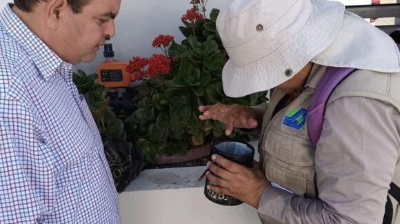 Reportan niveles óptimos en ovitrampas de Salvador Alvarado, Sinaloa; llaman a no bajar la guardia contra el dengue