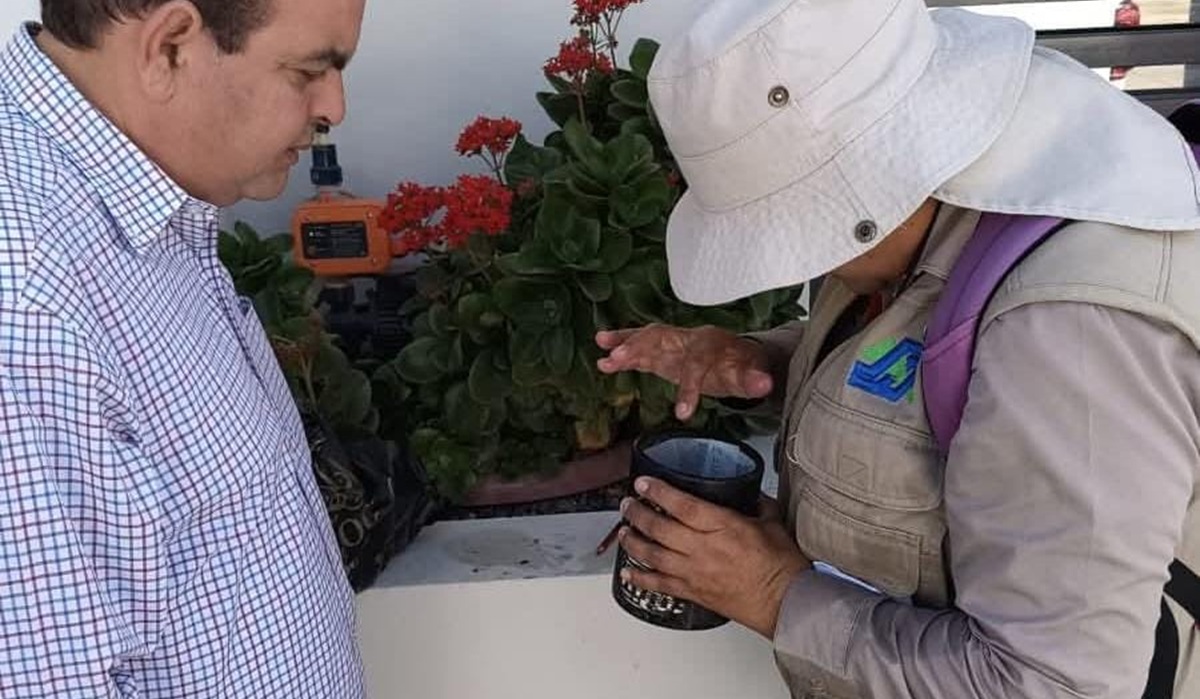 Revisan ovitrampas instalados en Salvador Alvarado contra el mosco del dengue