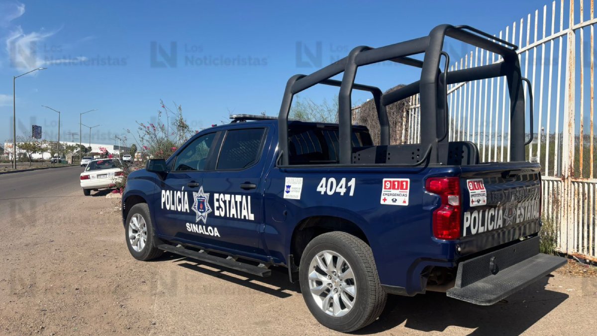 sabuesos guerreras localizan craneo y huesos humanos por las torres y kumate