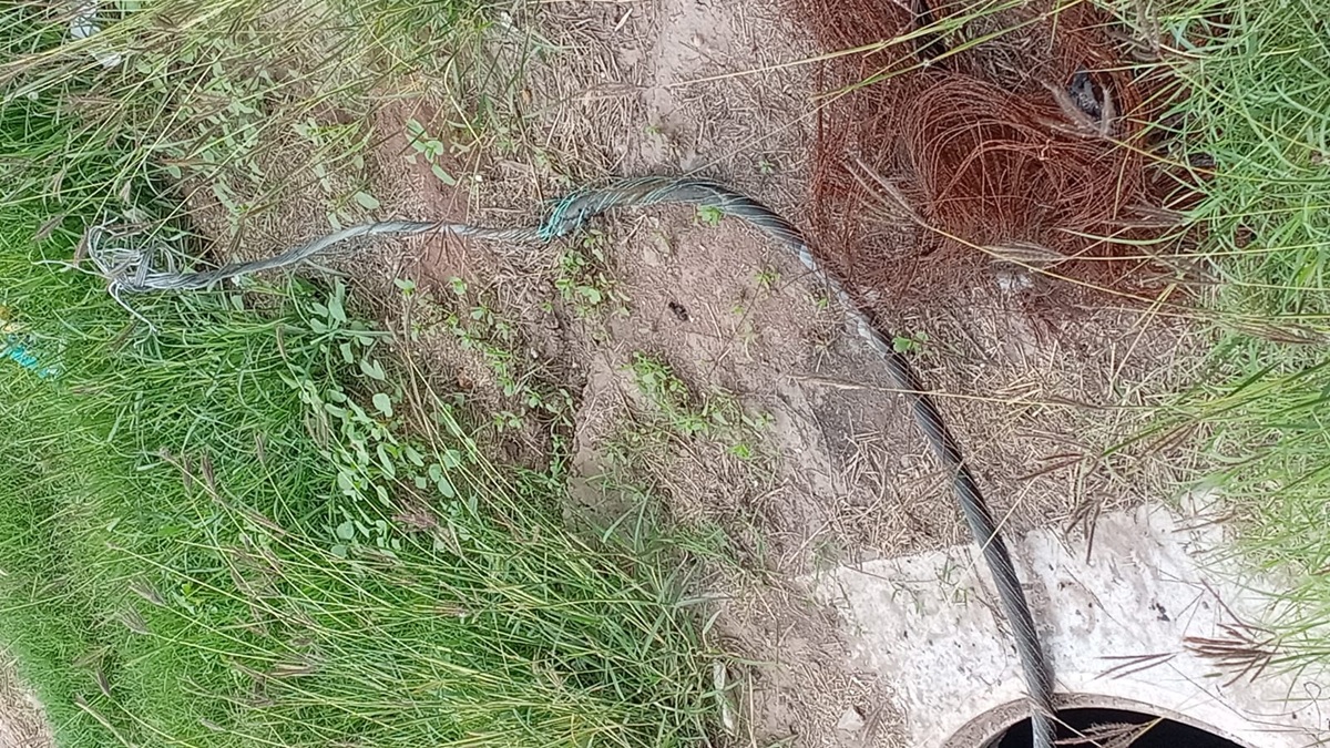 Se roban cableado del distribuidor vial en Los Mochis