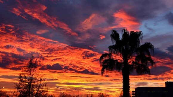 ¡Febrero loco! Verano e Invierno al mismo tiempo en gran parte del país