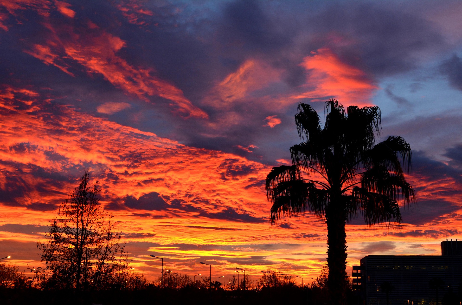 Atardecer