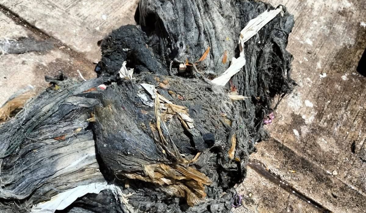 Taponamiento de drenaje en Culiacán