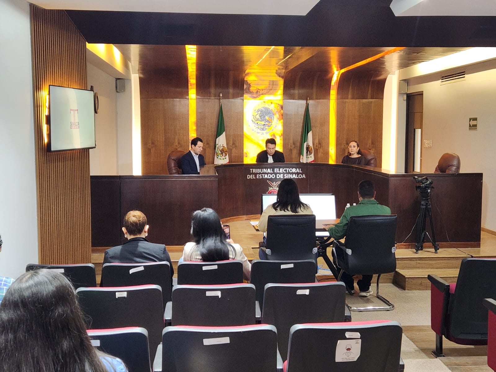 Tribunal Electoral del Estado de Sinaloa (Teesin)