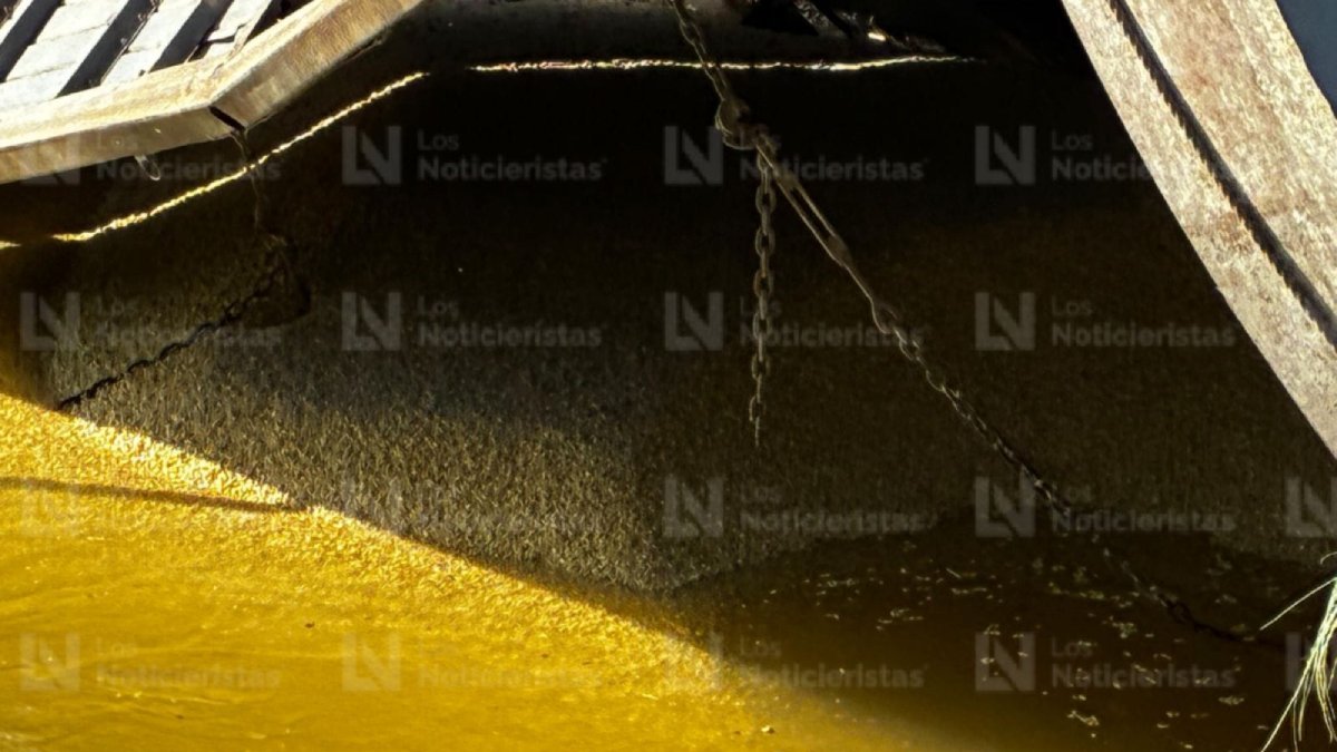 torton cargado con maiz cae a canal a la entrada de los mochis lugar