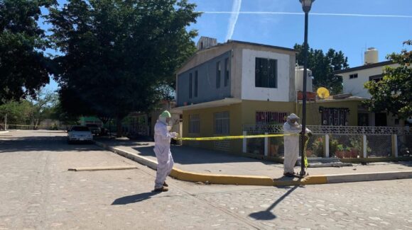¡Ni ellos se escaparon! En San Ignacio, Sinaloa resultan lesionados por picadura de abeja ahora trabajadores del Ayuntamiento