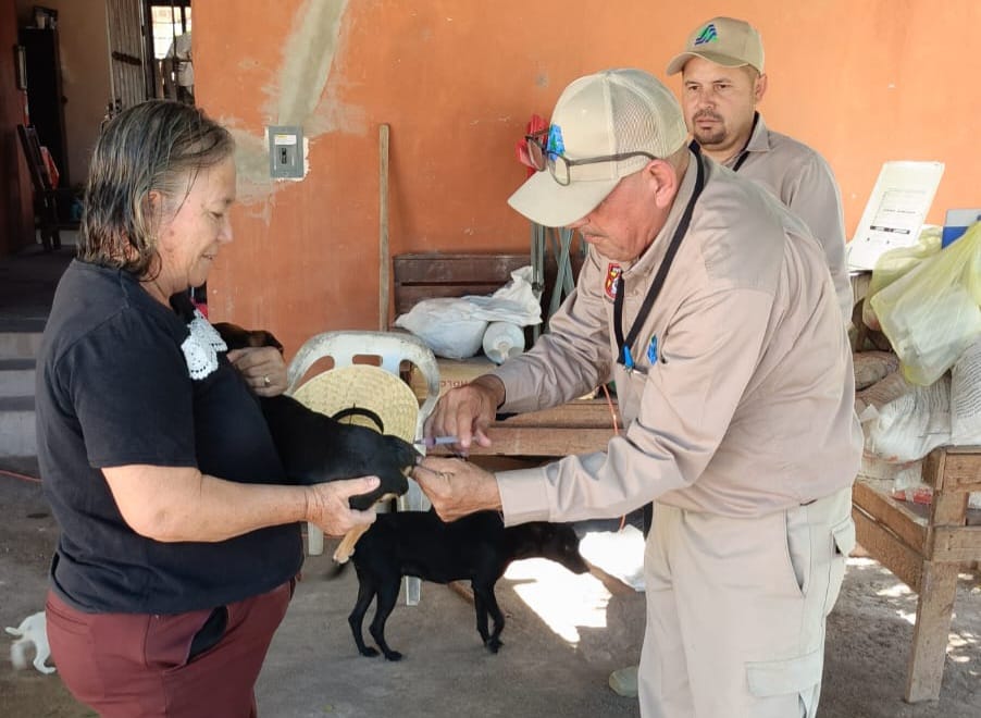 Vacunación contra la rabia en Mocorito, Sinaloa