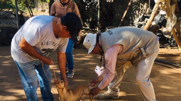 Aplican más de 2 mil vacunas en campaña antirrábica en la zona serrana de Mocorito, Sinaloa