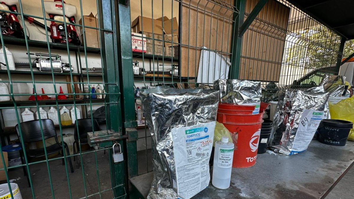 vectores de mazatlan se declaran en brazos caidos por falta de equipo salud