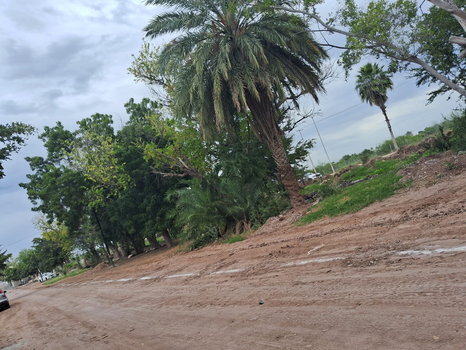 presunta venta irregular de terrenos que habría invadido una de las principales calles del ejido 9 de Diciembre