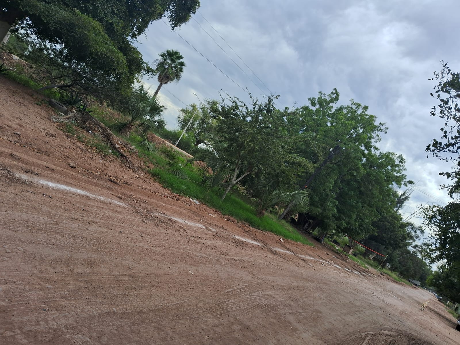presunta venta irregular de terrenos que habría invadido una de las principales calles del ejido 9 de Diciembre