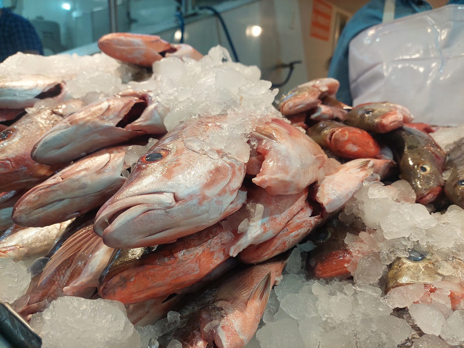Venta de pescados y mariscos en el Mercado Municipal de Guamúchil