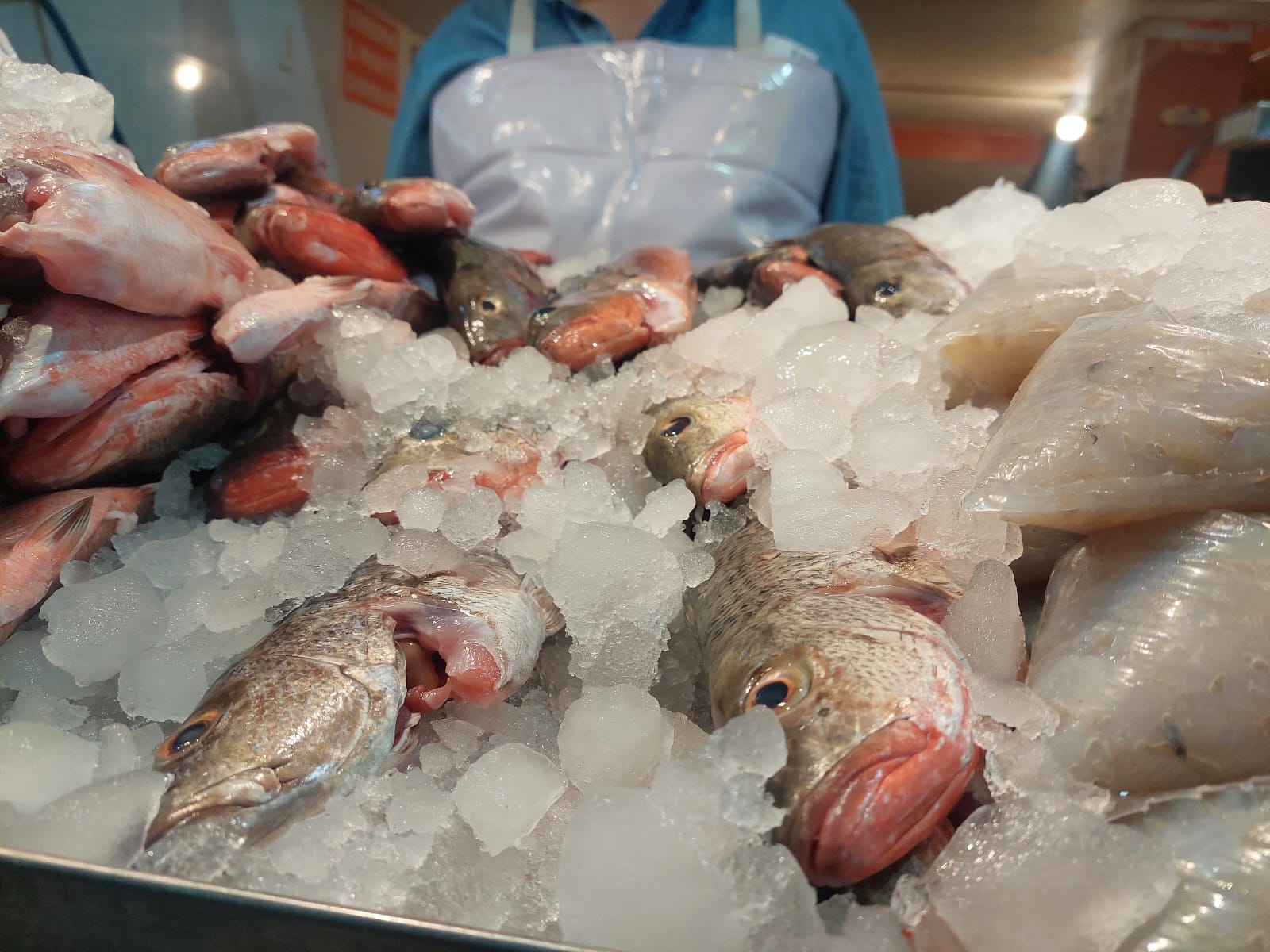 Venta de pescados y mariscos en el Mercado Municipal de Guamúchil