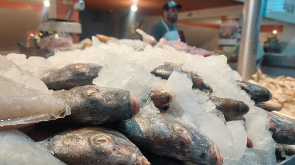 ¡Mariscos frescos y sin aumento de precio en Guamúchil, Sinaloa! Comerciantes del Mercado Municipal listos para la Cuaresma