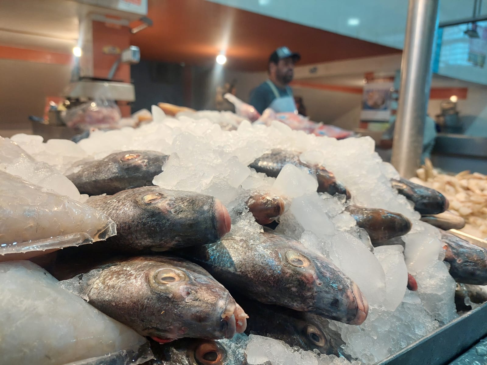 Venta de pescados y mariscos en el Mercado Municipal de Guamúchil