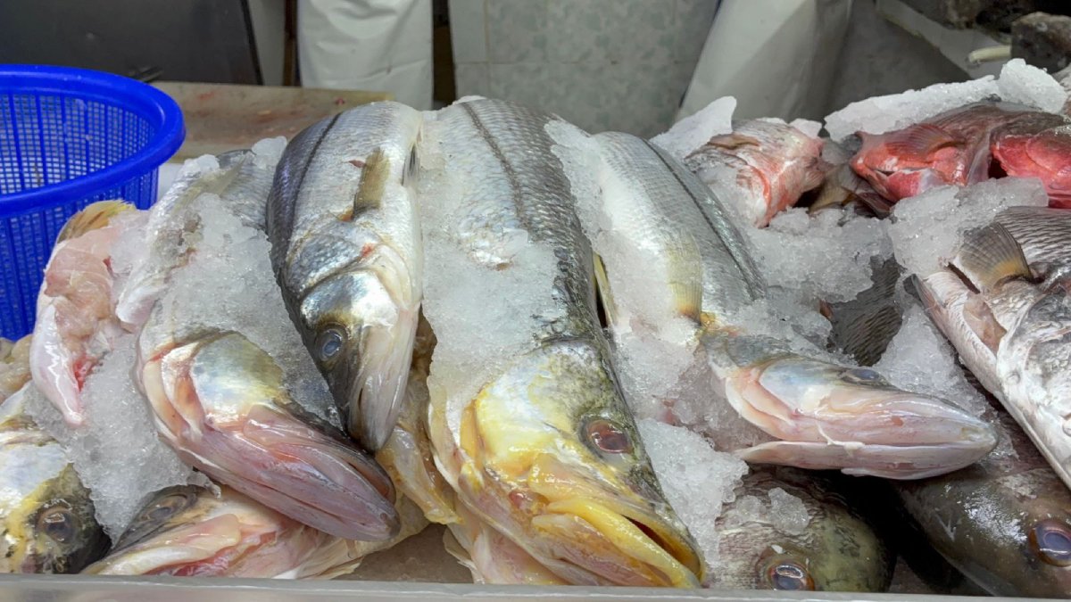 ventas de mariscos arranca lento en el mercado independencia en los mochis pescado