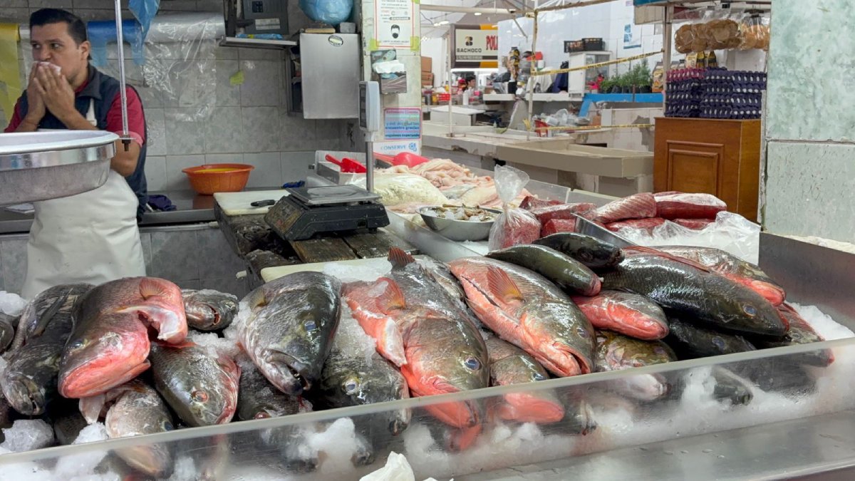 ventas de mariscos arranca lento en el mercado independencia en los mochis sin